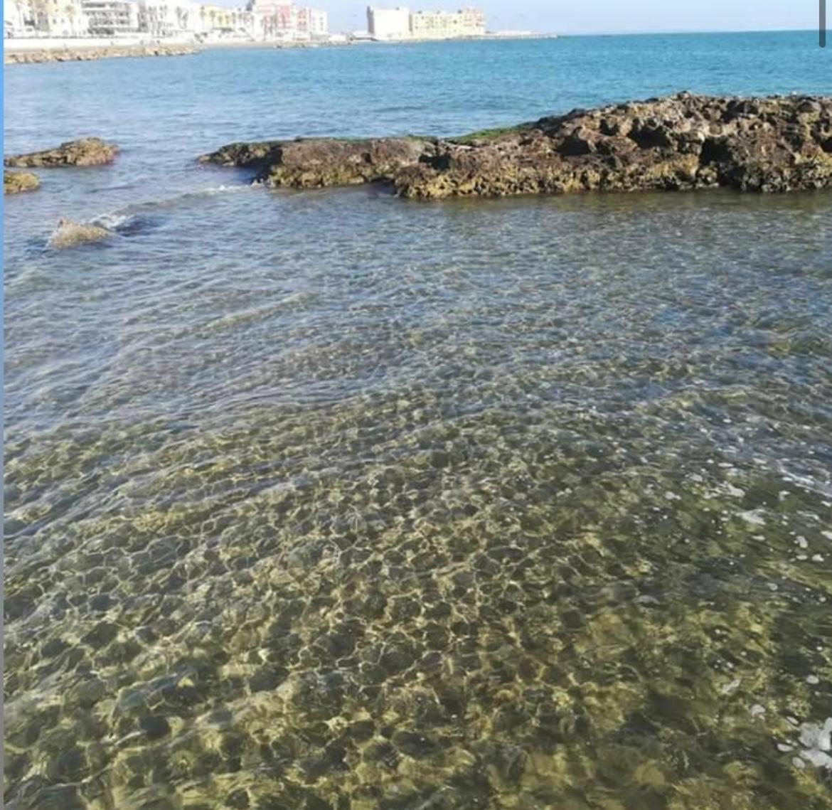 Il Giardino Segreto Apartman Anzio Kültér fotó